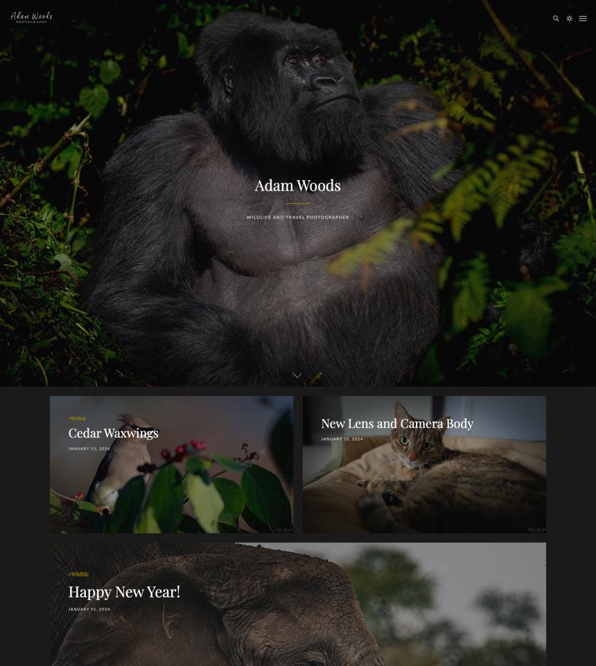 Adam Woods Blog preview