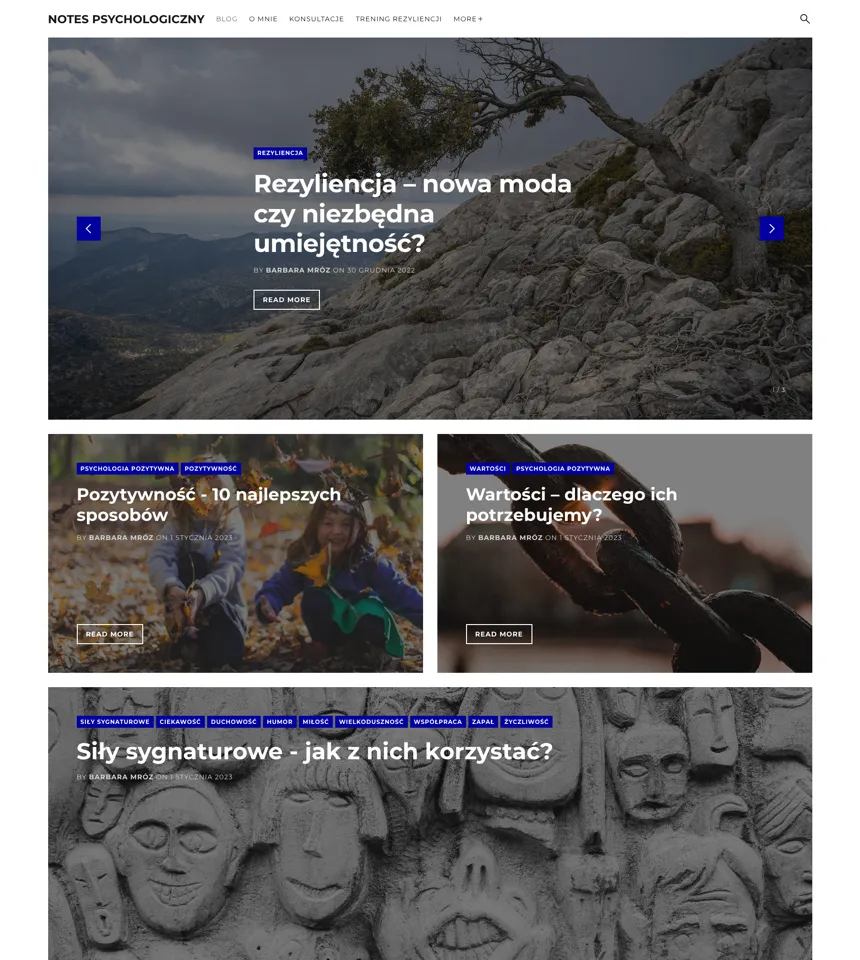 Barbara Mróz Site preview