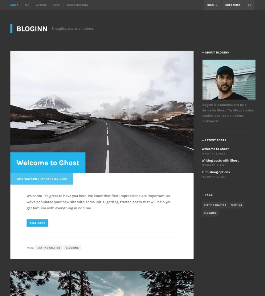 BlogInn theme preview