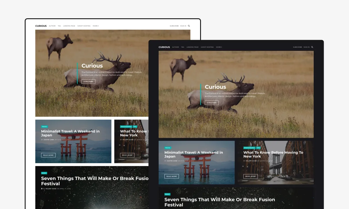 Curious theme dark and light colors